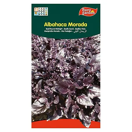 Euro Garden  Semillas de hierbas Albahaca morada