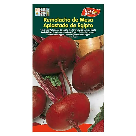 Euro Garden  Semillas de vegetales Remolacha de mesa aplastada de Egipto