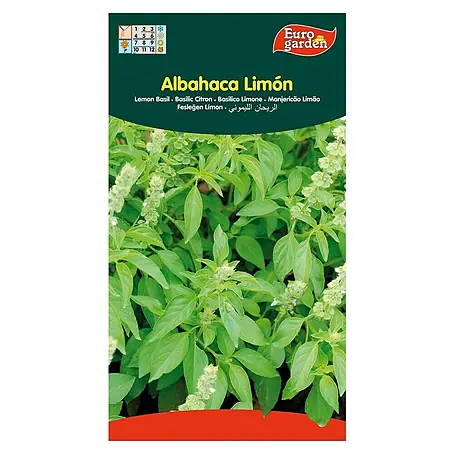 Euro Garden  Semillas de hierbas Albahaca limón