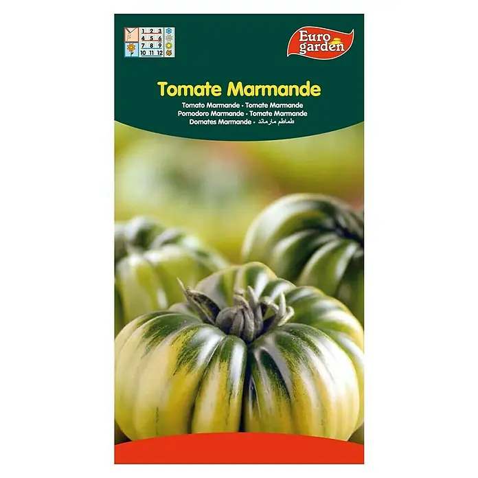 Euro Garden Semillas de vegetales Tomate Marmande - Cosecha: Junio - Imagen del tomate Marmande, una variedad especial de tomate de color amarillo-verde y forma acanalada, ideal para gourmets.
