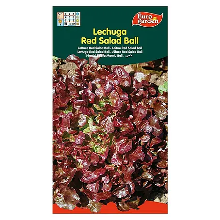 Euro Garden  Semillas de lechuga Hoja de roble