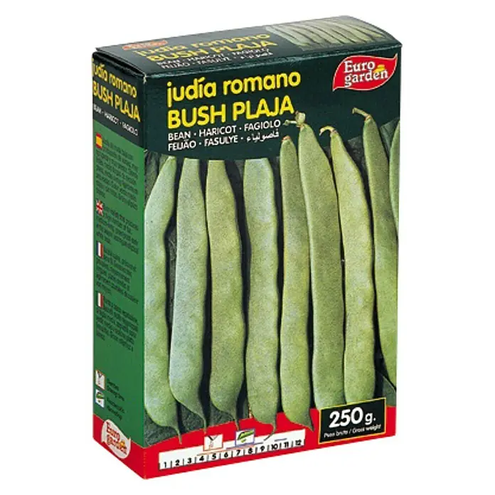 Euro Garden Semillas de vegetales Judía Romano Bush - Cosecha: Junio - Imagen de un paquete de semillas de judías "Judía romano Bush Plaja" de Euro garden, con judías de color verde claro en el envase.