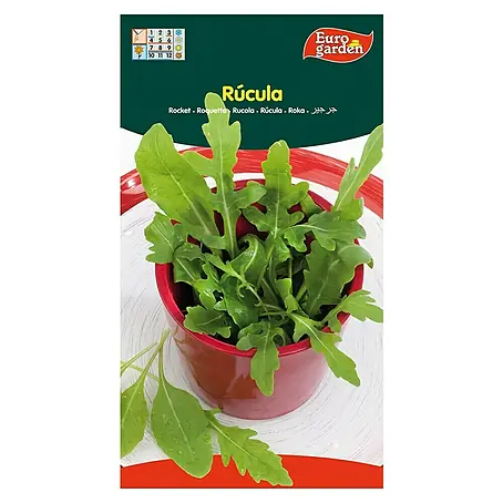 Euro Garden  Semillas de vegetales Rúcula sativa