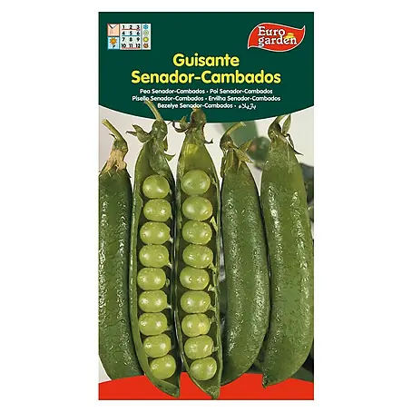 Euro Garden  Semillas de vegetales Guisante Senador Cambados