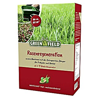 Greenfield Nachsaat-Rasen Rasenregeneration (2 kg, 60 m²)