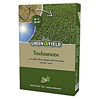 Greenfield Rasensamen Trocken (1 kg, 30 m²)