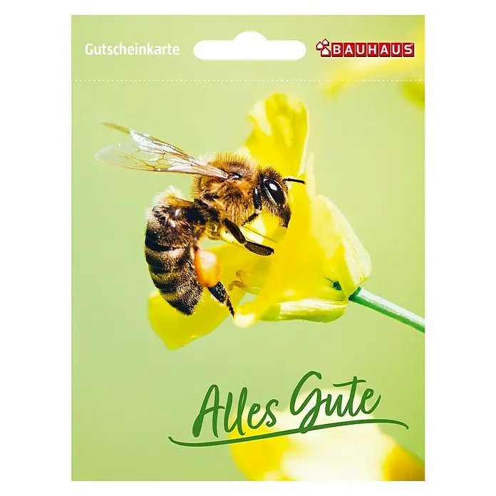 Gutscheinkarte - Per Postversand, 10 Euro, Biene - Gutscheinkarte von Bauhaus mit einer Nahaufnahme einer Biene auf einer gelben Blüte, ideal als Geschenk für Heimwerker und Gartenfreunde.