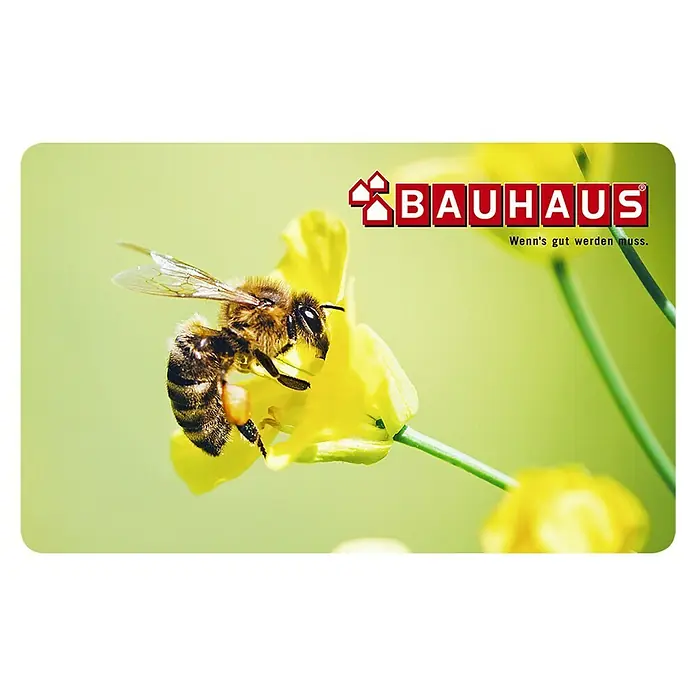 Gutscheinkarte - Per Postversand, 10 Euro, Biene - Nahaufnahme einer Biene auf einer gelben Blume, mit dem Bauhaus-Logo im Hintergrund.