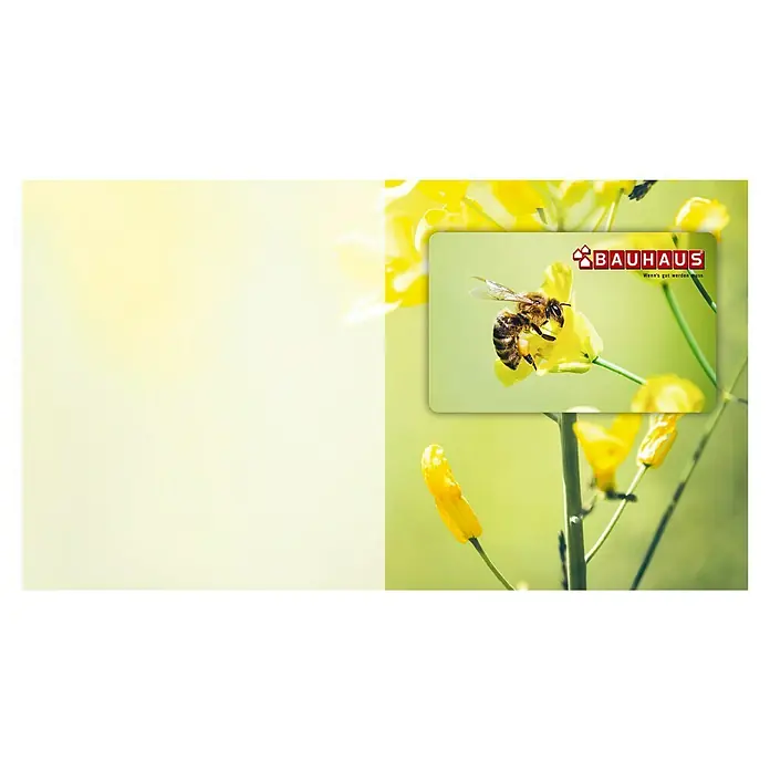 Gutscheinkarte - Per Postversand, 10 Euro, Biene - Bauhaus-Gutscheinkarte mit gelben Blüten und einer Biene. Perfekt als Geschenk für Heimwerker und Gartenliebhaber.