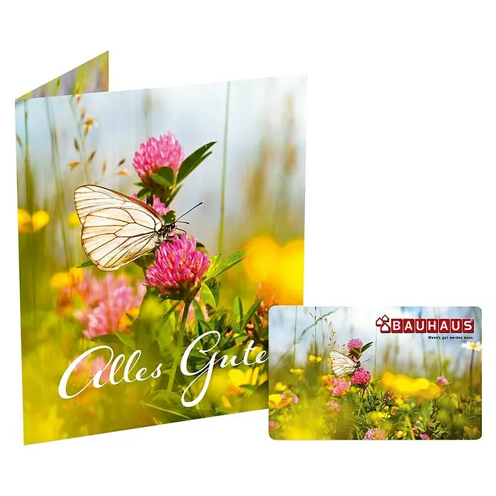 Gutscheinkarte - Per Postversand, Gutscheinwert: 20 Euro, Frühlingswiese - Grußkarte mit Schmetterlingsmotiv und BAUHAUS-Geschenkkarte. Ideal zum Verschenken und für Heimwerker-Projekte.