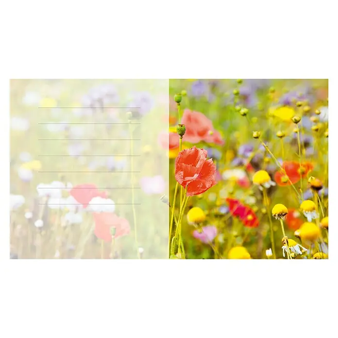 Gutscheinkarte - Per Postversand, Gutscheinwert: 20 Euro, Frühlingswiese - Postkarte mit einem farbenfrohen Blumenmotiv und Linien für die Adresse. Ideal für persönliche Grüße und Einladungen.