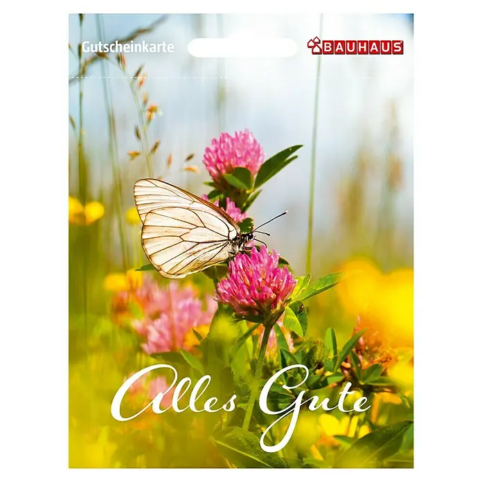 Gutscheinkarte - Per Postversand, Gutscheinwert: 20 Euro, Frühlingswiese - Gutscheinkarte von Bauhaus mit Schmetterling und Blüten, ideal als Geschenk für Heimwerker und Gartenliebhaber.