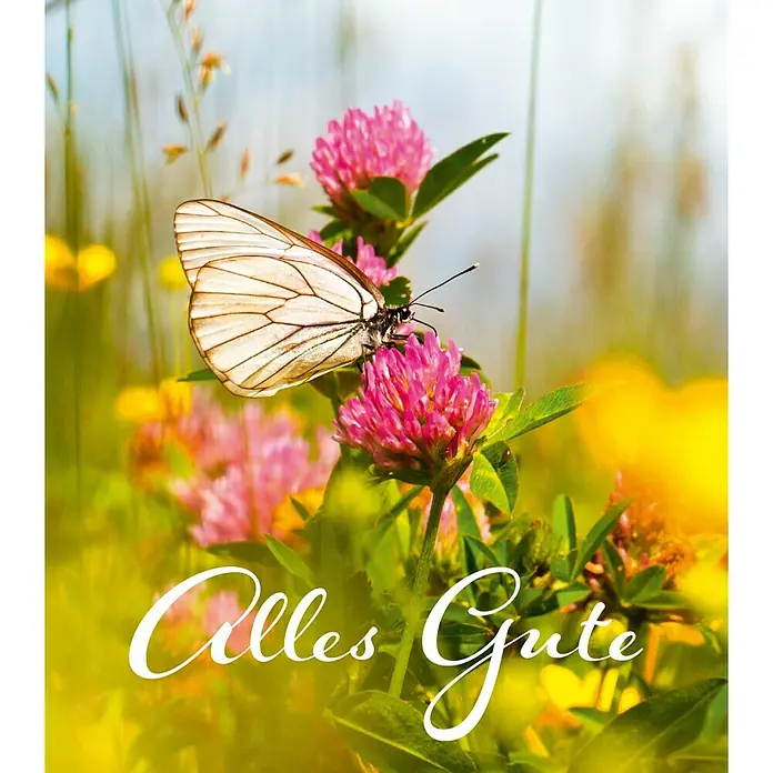 Gutscheinkarte - Per Postversand, Gutscheinwert: 20 Euro, Frühlingswiese - Alles Gute-Motiv mit einem zarten Schmetterling auf rosa Blüten, ein wunderschönes Bild für Glückwunschkarten und liebe Botschaften.