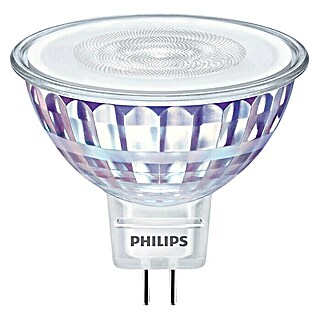 Philips Bombilla LED Classic CW (GU5,3, 50 W, 660 lm)