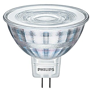 Philips Bombilla LED Classic CW (GU5,3, No regulable, Blanco frío, 390 lm, 35 W)