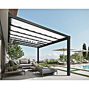 Palram – Canopia Techo de repuesto Stockholm (520 x 340 cm, Blanco) | BAUHAUS