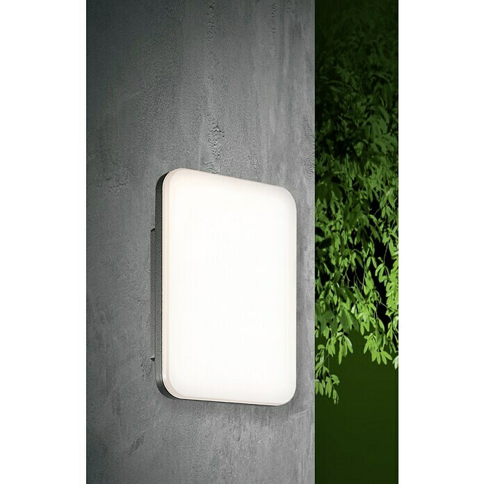 Starlux LED-Außenwandleuchte (10 W, 149 x 83 x 216 mm, Dunkelgrau, IP54) | BAUHAUS