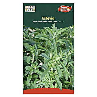 Euro Garden Semillas de vegetales Stevia (Cosecha: Abril)