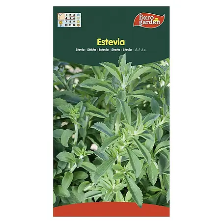 Euro Garden  Semillas de vegetales Stevia