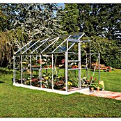 Halls Gewächshaus Popular 106 (3,19 x 1,93 x 1,95 m, Blankglas, Glasstärke: 3 mm, Silbergrau)