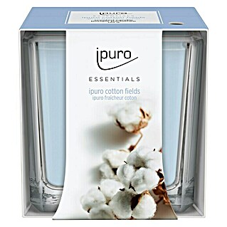 Ipuro Essentials Duftkerze (Im Glas, Cotton Fields)