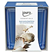 Ipuro Essentials Duftkerze (Im Glas, Sunny Beachtime) | BAUHAUS