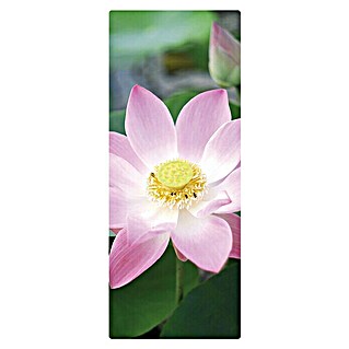 SanDesign Duschrückwandmuster (17,5 cm x 7 cm x 3 mm, Pink Water Lily)