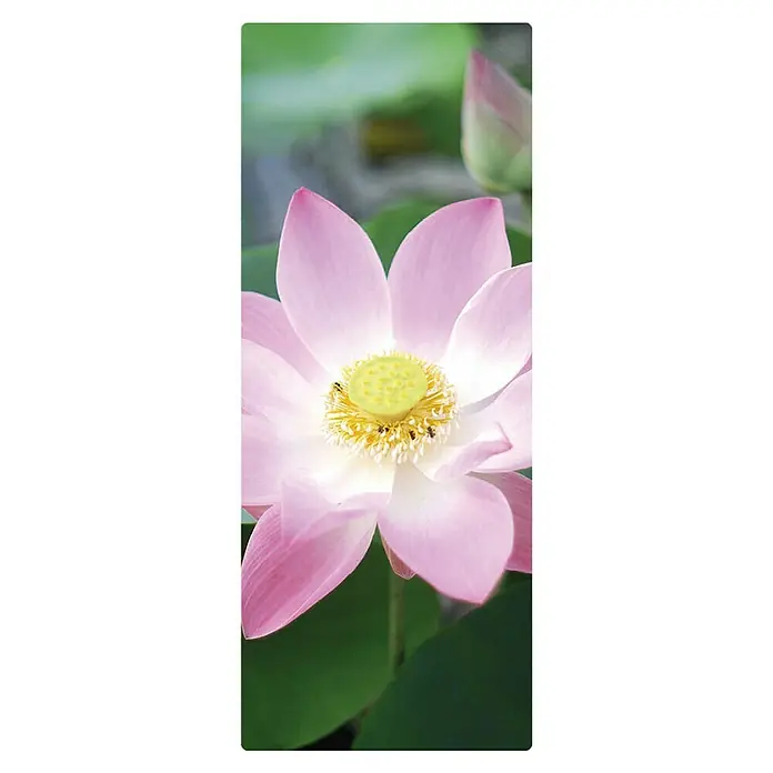 SanDesign Duschrückwandmuster - 17,5 cm x 7 cm x 3 mm, Pink Water Lily - Nahaufnahme einer strahlend rosa Lotusblüte mit gelbem Zentrum, umgeben von grünen Blättern, die die Schönheit der Natur hervorhebt.