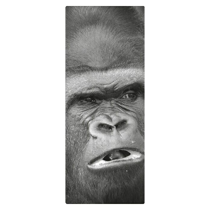 SanDesign Duschrückwandmuster (17,5 cm x 7 cm x 3 mm, Scary Monkey)