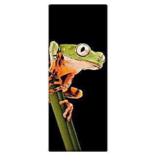 SanDesign Duschrückwandmuster (17,5 cm x 7 cm x 3 mm, Frog)