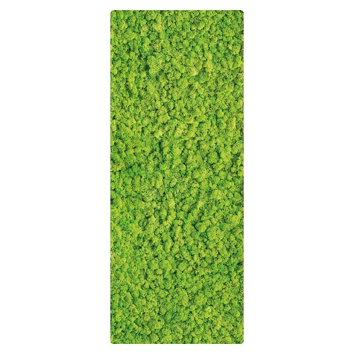 SanDesign Duschrückwandmuster Moos (17,5 cm x 7 cm x 8 mm, Bäume &  Pflanzen) | BAUHAUS