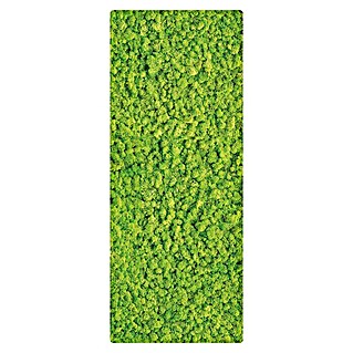 SanDesign Duschrückwandmuster Moos (17,5 cm x 7 cm x 8 mm, Bäume & Pflanzen)