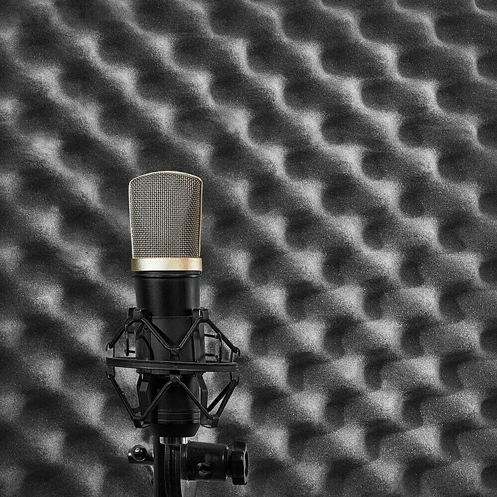 Noppenschaum Akupur - 50 x 50 x 5 cm, PU-Schaum - Nahaufnahme eines Mikrofons mit goldfarbenem Korb, das sich perfekt für professionelle Audioaufnahmen in Studios eignet.