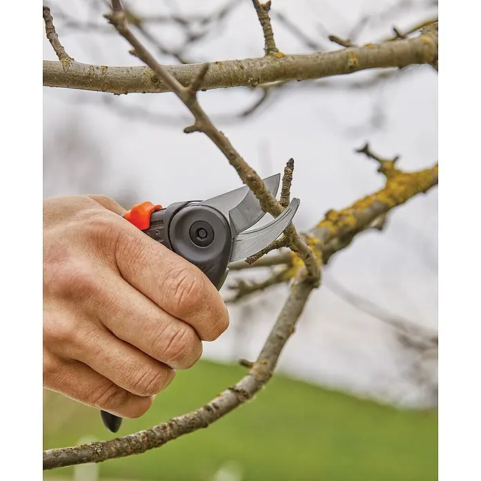 Gardena Gartenschere - Bypass, Max. Aststärke: 22 mm - Nahaufnahme einer Hand, die mit einer Gartenschere einen kleinen Ast eines Baumes beschneidet. Werkzeug für Gartenpflege.
