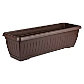 Korito za rastline Jadran  (Zunanje dimenzije (Do x Š x V): 60 x 20 x 17 cm, Plastika, Rjava) | 8444 - Kunststoff Pflanzgefäße | IAKB - Gefäße Outdoor | IAK - Gefässe,Deko outdoor, Zeitschriften | IA - Gartenhartware | I - Stadtgarten | BAUHAUS