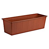 Žardinjera za biljke  (Vanjska dimenzija (D x Š x V): 50 x 17 x 14 cm, Terakota) | BAUHAUS