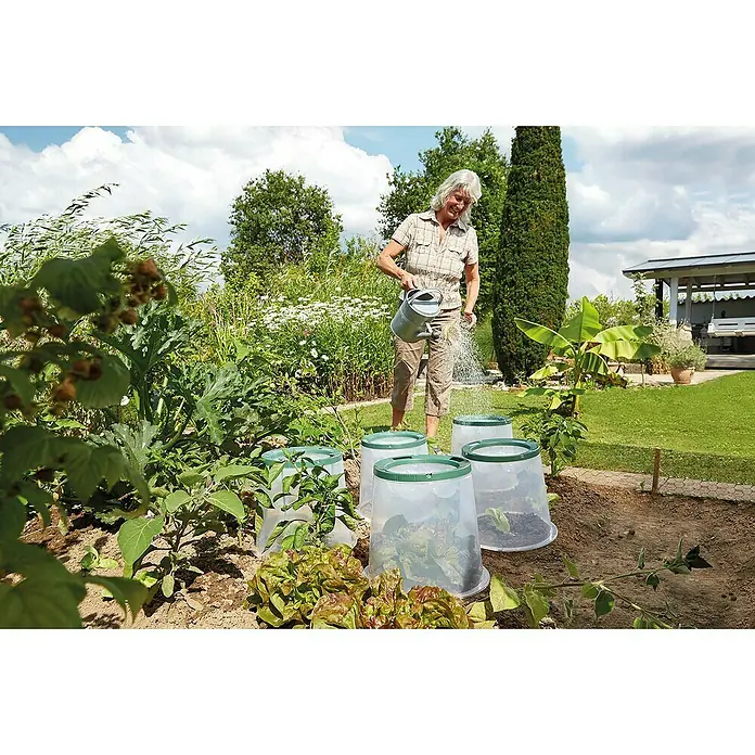 Garantia Pflanzglocke SUNNY - Höhe: 30 cm, Kunststoff - Eine Frau gießt Pflanzen unter transparenten Cloches im Garten, die vor Schädlingen schützen. Diese schaffen ein ideales Klima für Wachstum.