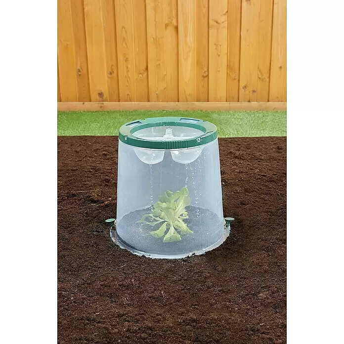 Garantia Pflanzglocke SUNNY - Höhe: 30 cm, Kunststoff - Anwendungsbeispiel