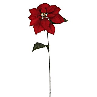 Kunstblume Poinsettie (Höhe: 71 cm, Rot, Kunststoff)