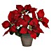 Mica Decorations Kunstpflanze Poinsettia 