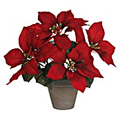 Mica Decorations Kunstpflanze Poinsettia (Höhe: 27 cm, Blütenfarbe: Rot, Polyester) | BAUHAUS
