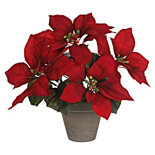 Mica Decorations Kunstpflanze Poinsettia (Höhe: 27 cm, Blütenfarbe: Rot, Polyester)
