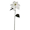 Flor artificial Poinsettia (Altura: 71 cm, Blanco, Plástico) | BAUHAUS