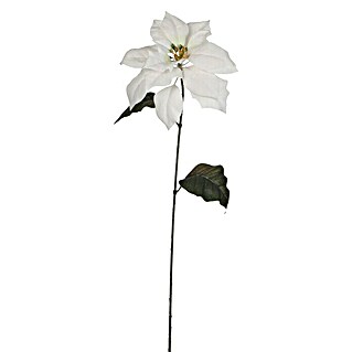 Flor artificial Poinsettia (Altura: 71 cm, Blanco, Plástico)