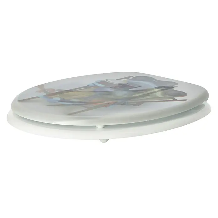 Poseidon WC-Sitz Froggy 3D - MDF, Mehrfarbig, Mit Absenkautomatik - Blick auf einen runden Toilettensitz mit Kunstaufdruck. Der Toilettensitz ist weiß und befindet sich in einer seitlichen Ansicht vor schwarzem Hintergrund.