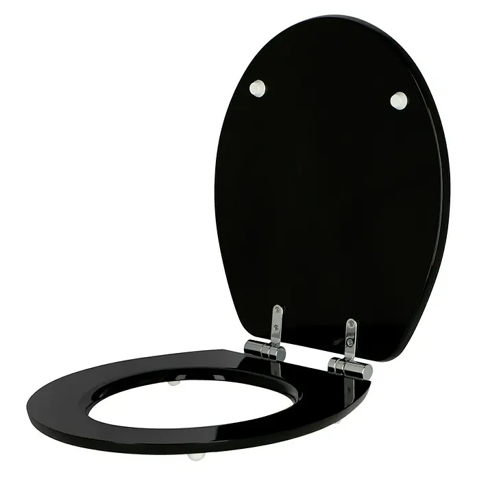 Poseidon WC-Sitz Bato Stone - Holz, Blau, Mit Absenkautomatik online kaufen  bei BAUHAUS