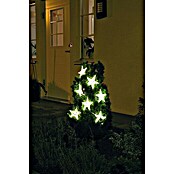 Konstsmide LED-Lichtervorhang Sterne (Außen, 5,762 m, Warmweiß, Netzbetrieben) | BAUHAUS