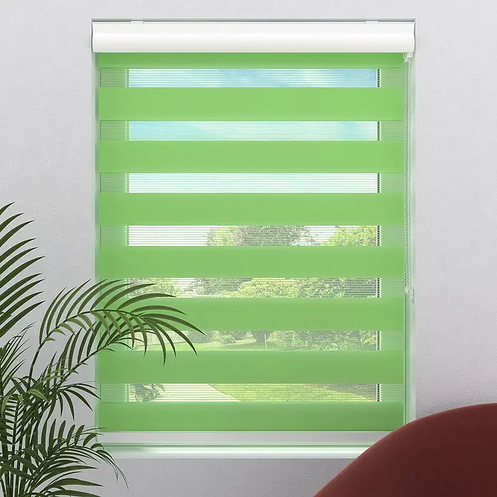 Expo Ambiente Doppelrollo mit KassetteB x H: 60 x 175 cm, Grün - Grüne Duo-Rollo-Jalousie im Fenster, die Lichtfilterung und Privatsphäre bietet. Eine stilvolle Fensterdekoration für jeden Raum.