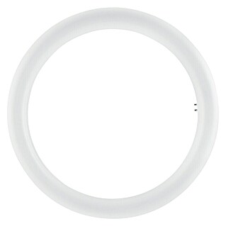 Osram Tubo LED T9 (Largo: 30 cm, Blanco neutro, 19 W, 2.200 lm, G10q)