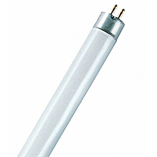 Osram Tubo fluorescente T5FQ (T5, Blanco neutro, 54 W, Largo: 1.163 mm)